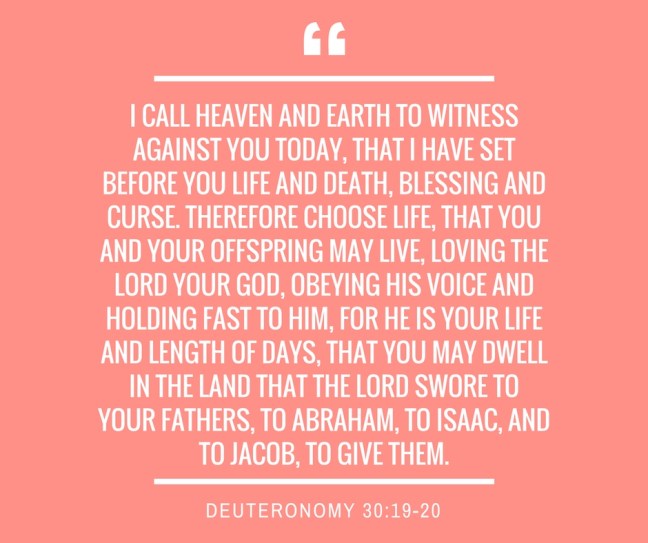 DEUTERONOMY ch30vs19-20