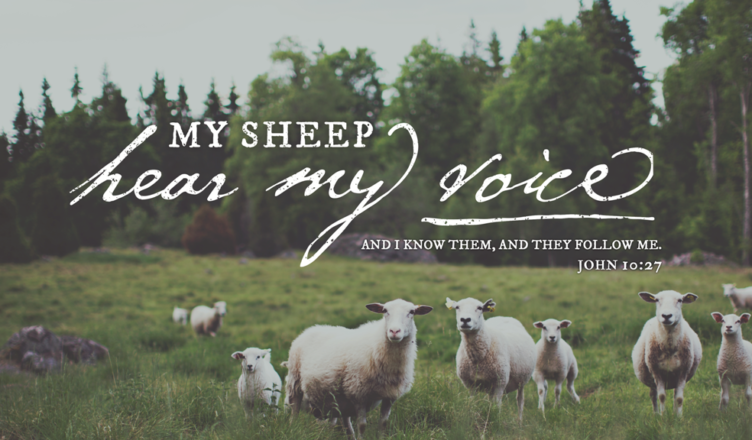 John-1027-widescreen-752x440