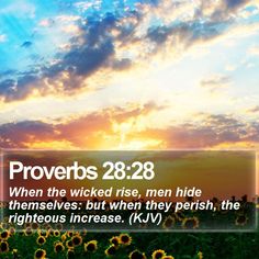 PROVERBS 28